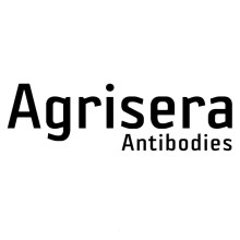 agrisera logo download2